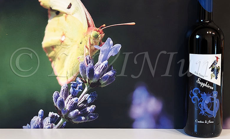Sapphirus Cantina di Anna