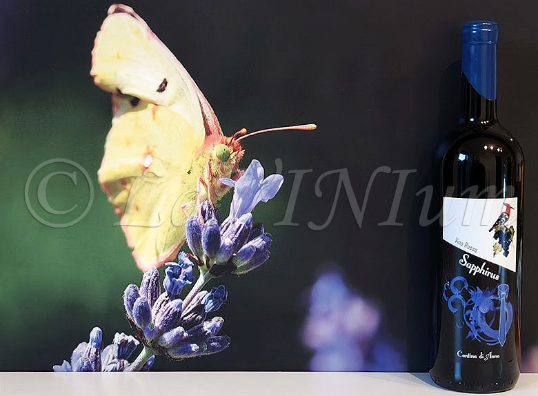 Sapphirus Cantina di Anna