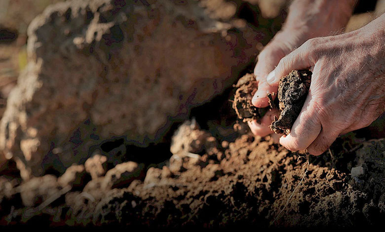 Arillo in Terrabianca il terreno