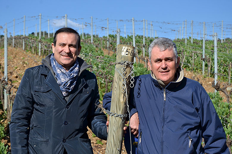 Flavio e Luca Nuti in vigna