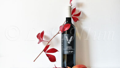 Friuli Isonzo Bianco Il Blanc di Vignis 2024 Vignis di Marian