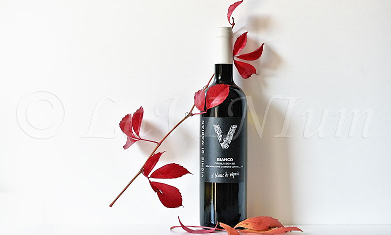 Friuli Isonzo Bianco Il Blanc di Vignis 2024 Vignis di Marian