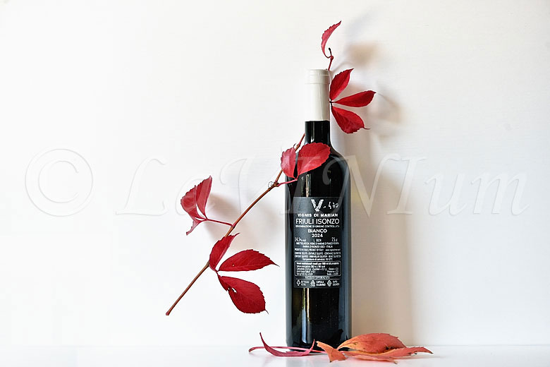 Friuli Isonzo Bianco Il Blanc di Vignis 2024 Vignis di Marian