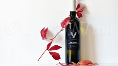 Friuli Isonzo Chardonnay 2021 Vignis di Marian