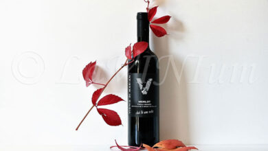 Friuli Isonzo Merlot Chel di une volte 2023 Vignis di Marian