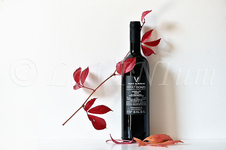 Friuli Isonzo Merlot Chel di une volte 2023 Vignis di Marian