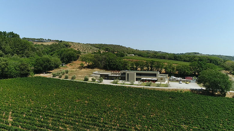 Podere La Regola vigneti