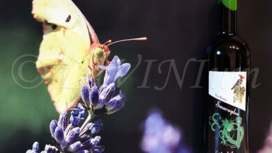 Smaragdus Bianco Cantina di Anna