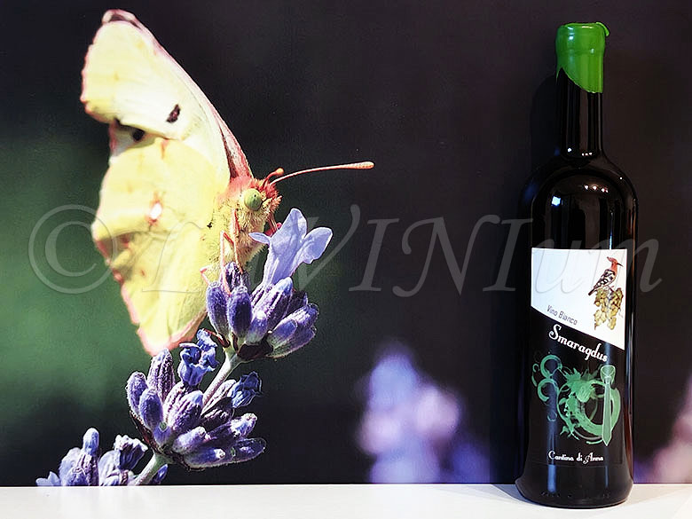 Smaragdus Bianco Cantina di Anna