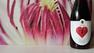 Le Eretiche iNoLoVe Red Spumante Ancestrale Corte Laureana