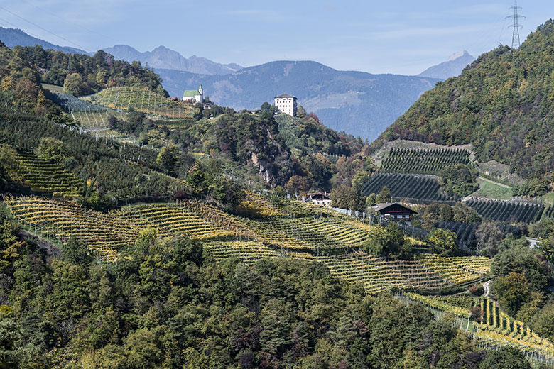 Nals Magreid vigneti