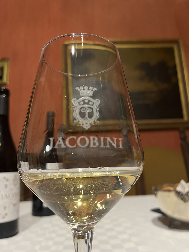 Jacobini Bianco IGP Lazio due annate a confronto 2022 vs 2024