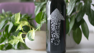 Monferrato Rosso Policalpo 2020 Cascina Castlèt