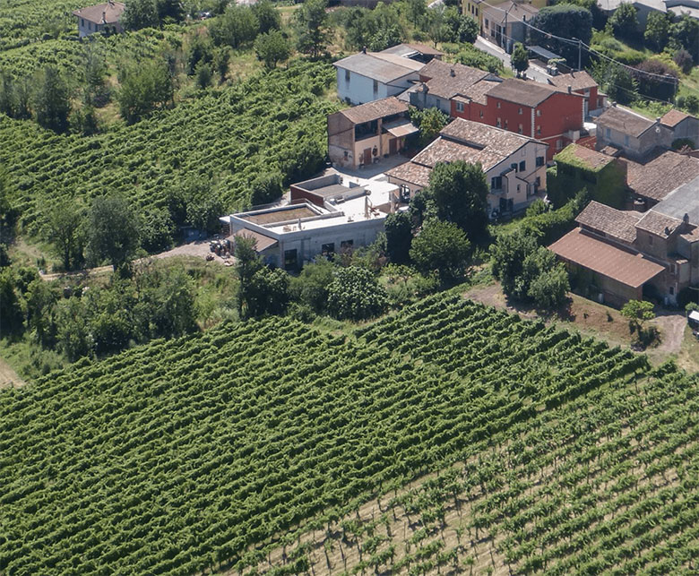 Piccolo Bacco dei Quaroni con i suoi vigneti