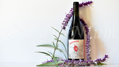 Sangiovese Karmine 2024 Dumatt