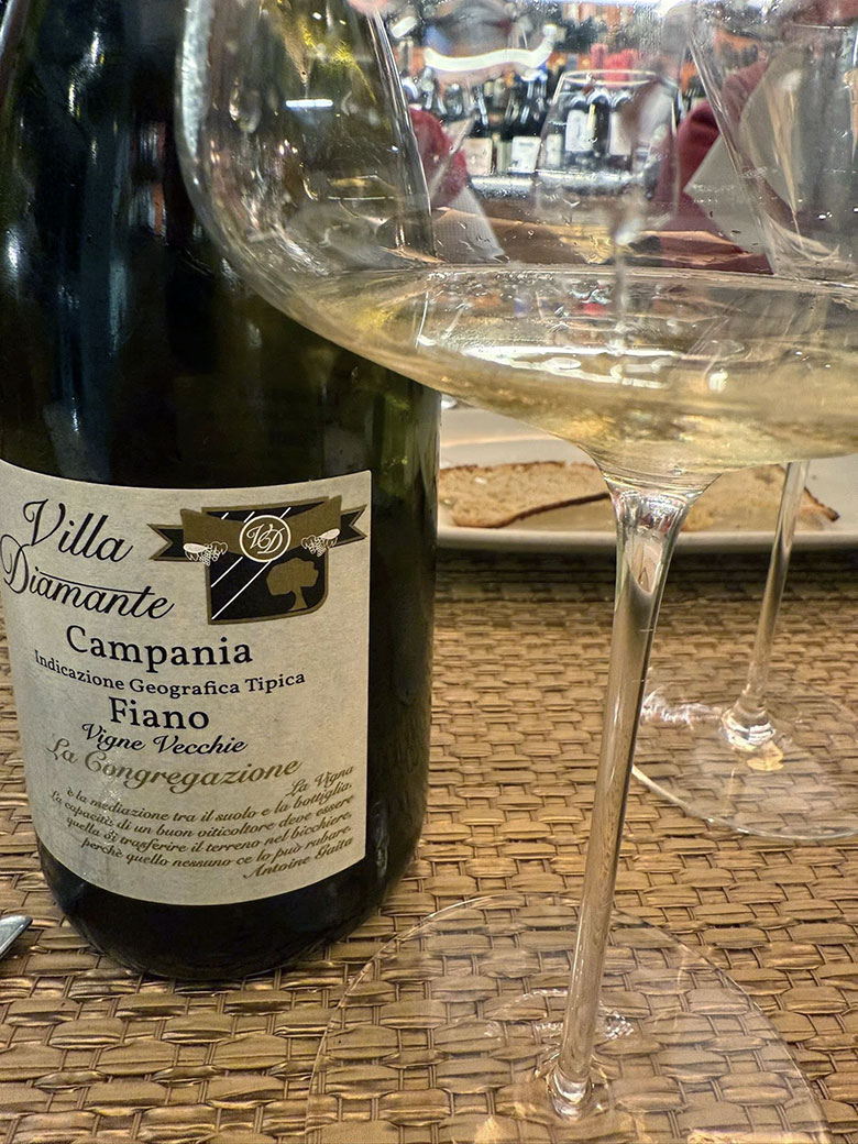 Vigne Vecchie La Congregazione 2020 Villa Diamante