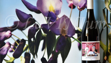 Barbera d'Asti Mavi 2023 Cadgal