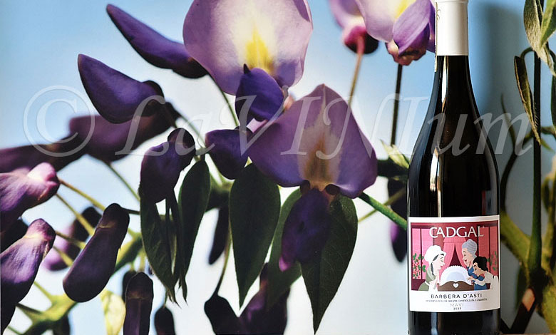Barbera d'Asti Mavi 2023 Cadgal