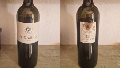 Barbera Senzaaiuto 2014 Bisi