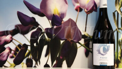 Fiano 2024 Vinicola Cicella