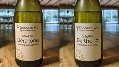 Colli Tortonesi Derthona Timorasso Ca' degli Olmi 2023 Canevaro Luca