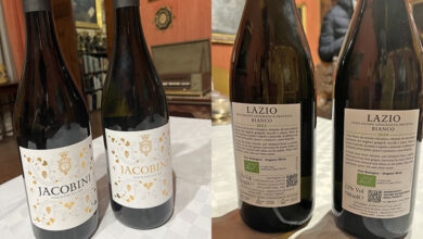 Jacobini Bianco IGP Lazio due annate a confronto 2022 vs 2024