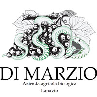 Logo Di Marzio