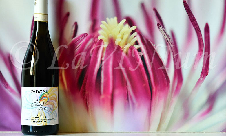Canelli Moscato Sant'Ilario 2024 Cadgal