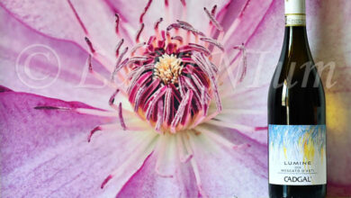 Moscato d’Asti Lumine 2024 Cadgal