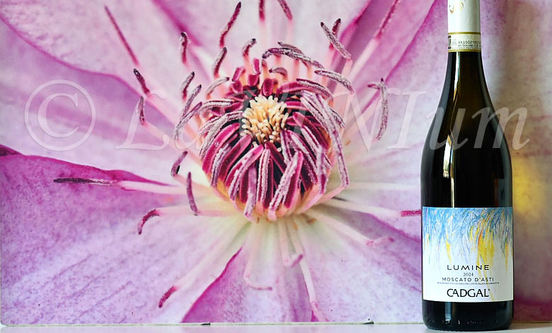 Moscato d’Asti Lumine 2024 Cadgal