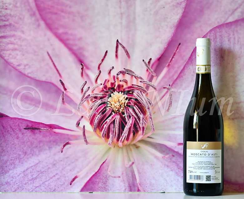 Moscato d'Asti Lumine 2024 Cadgal