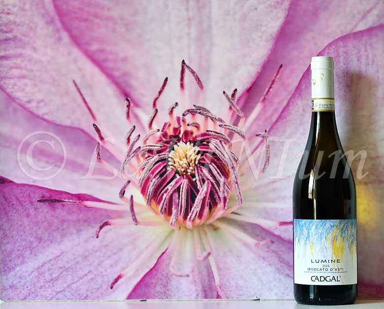 Moscato d’Asti Lumine 2024 Cadgal