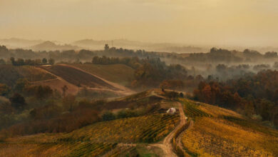 Pelassa vigneti in autunno