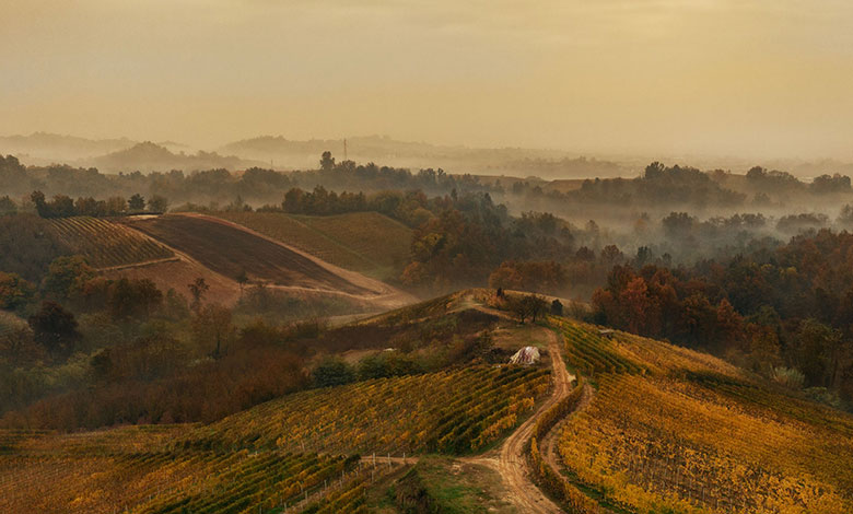 Pelassa vigneti in autunno