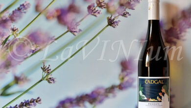 Piemonte Chardonnay 2023 Cadgal