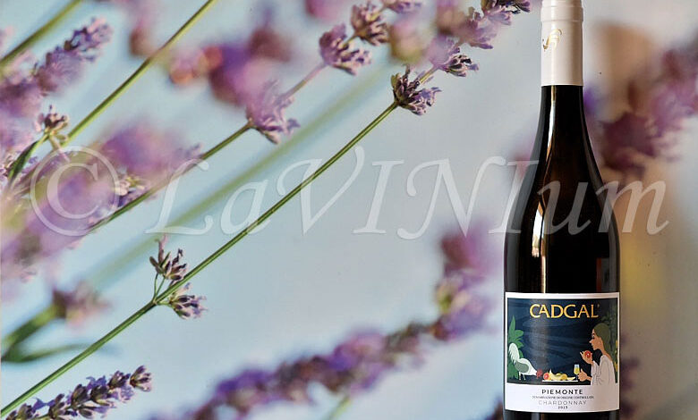 Piemonte Chardonnay 2023 Cadgal