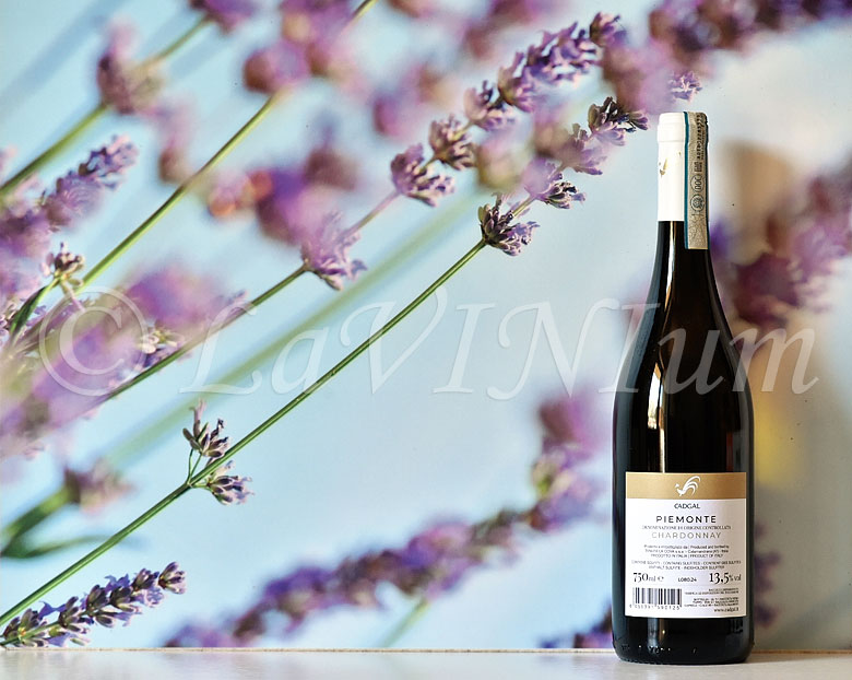 Piemonte Chardonnay 2023 Cadgal