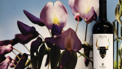 Primitivo di Manduria Dionysos 2010 De Quarto