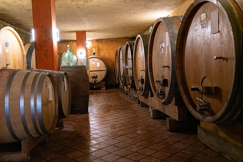 Ettore Germano, la cantina