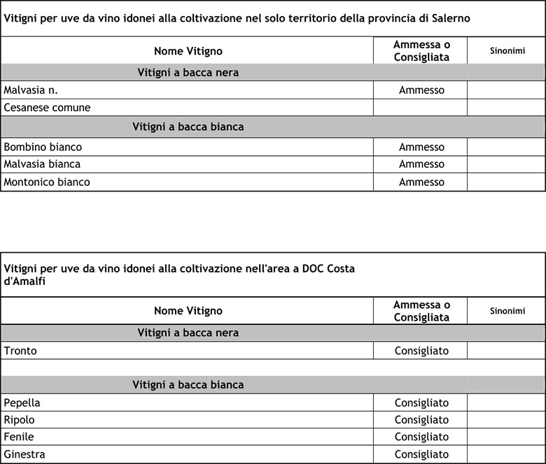 Uve autorizzate Costa d'Amalfi