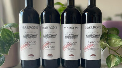 I Barolo 2022 di Marrone