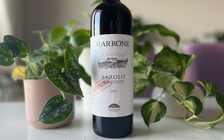 Barolo 2022 Marrone