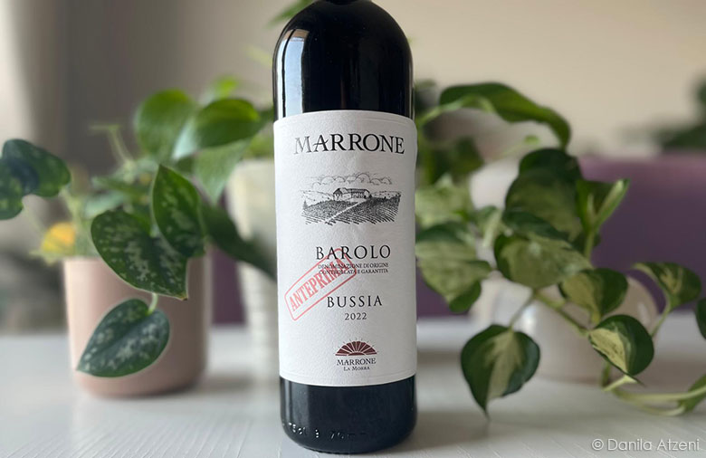 Barolo Bussia 2022 Marrone
