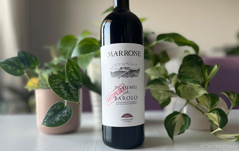 Barolo Pichemej 2022 Marrone