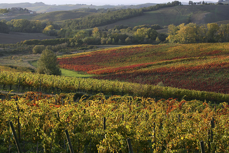 Paesaggio nel Chianti Classico