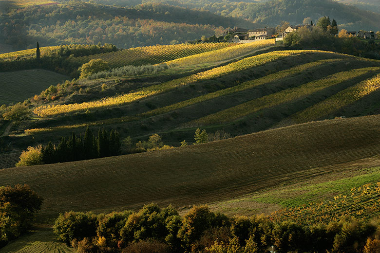 Paesaggio nel Chianti Classico