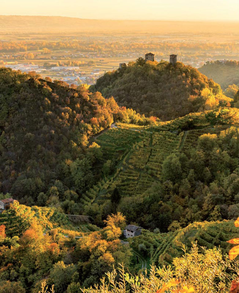 Le colline di Valdobbiadene