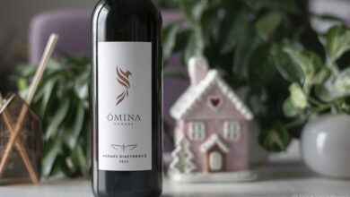 Hermes Diactoros II 2023 Ômina Romana