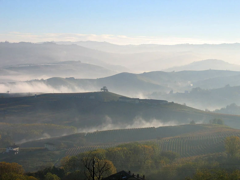 Paesaggio langarolo con la nebbia