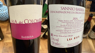 Sannio Barbera 2024 Aia dei Colombi